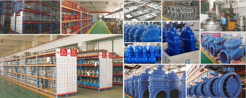 Worm Gear Flanged Butterfly Valve workshop center Worm Gear Flanged Butterfly Valve workshop center