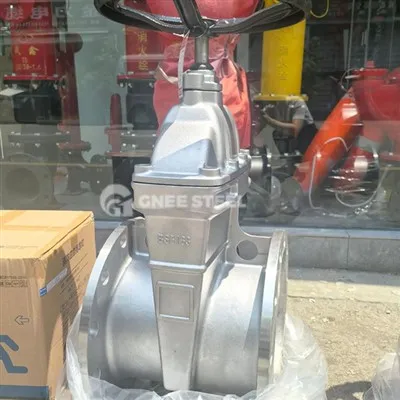 Засувка A351 CF8M